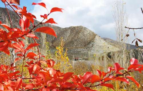 دلفارد، دره مدیترانه ای ایران